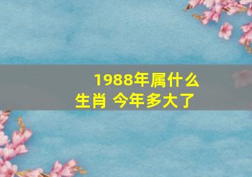 1988年属什么生肖 今年多大了